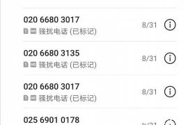 申扎为什么选择专业追讨公司来处理您的债务纠纷？
